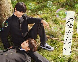 seo网站关键词密度该怎么设置